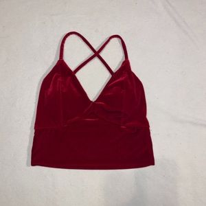 Velvet Crop Top
